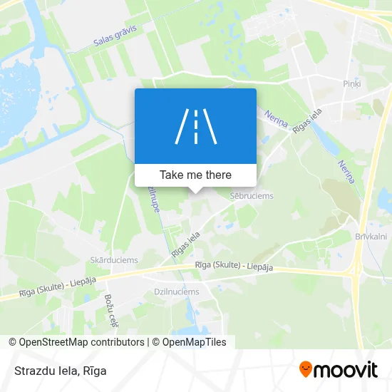Strazdu Iela map