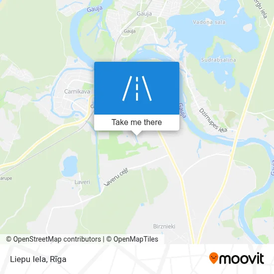 Liepu Iela map