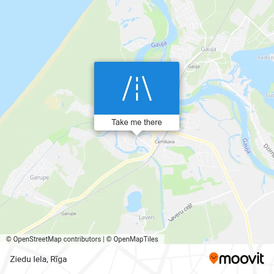 Ziedu Iela map