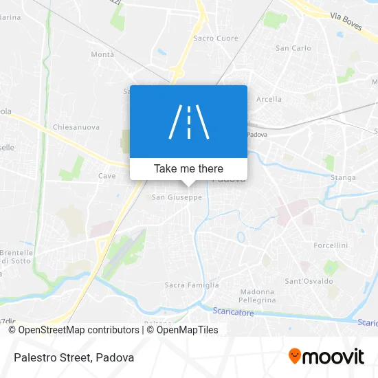 Palestro Street map