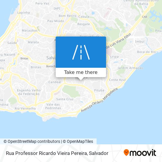 Rua Professor Ricardo Vieira Pereira map