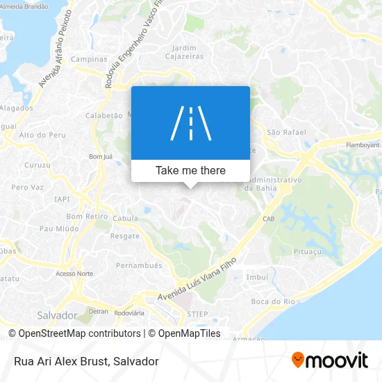 Rua Ari Alex Brust map