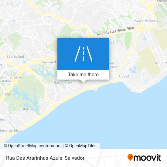 Rua Das Ararinhas Azuis map
