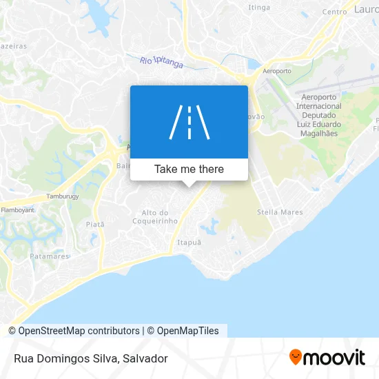 Rua Domingos Silva map