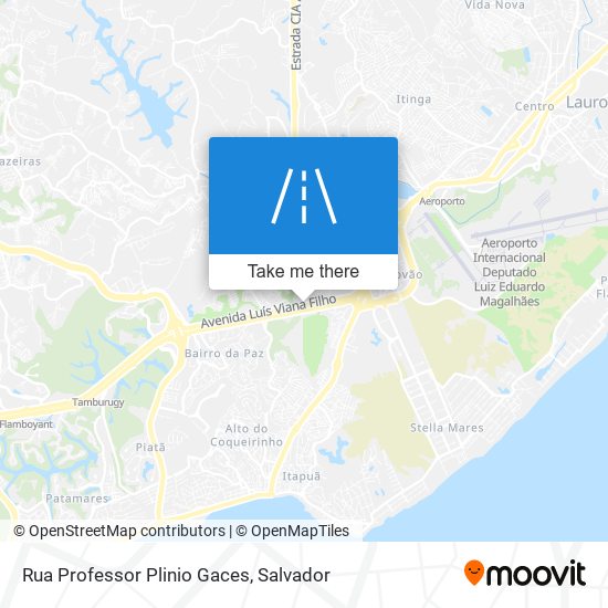 Mapa Rua Professor Plinio Gaces