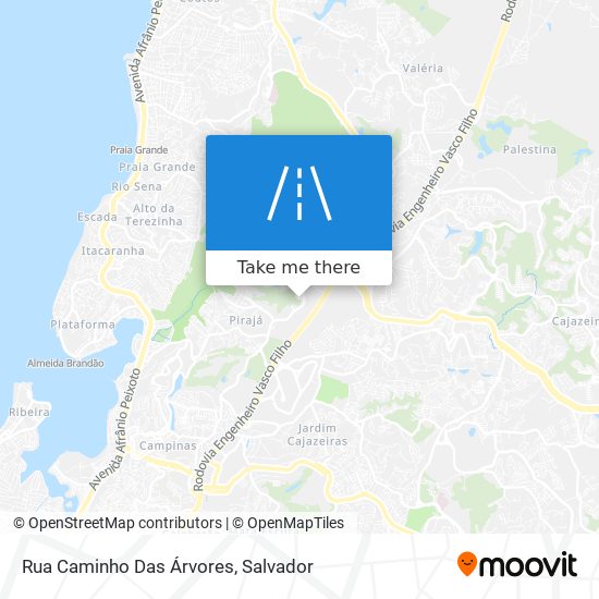 Rua Caminho Das Árvores map