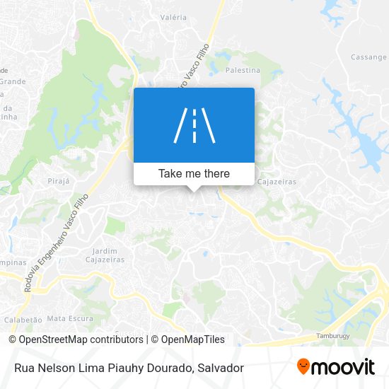 Rua Nelson Lima Piauhy Dourado map