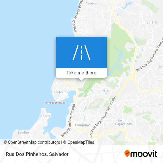 Rua Dos Pinheiros map