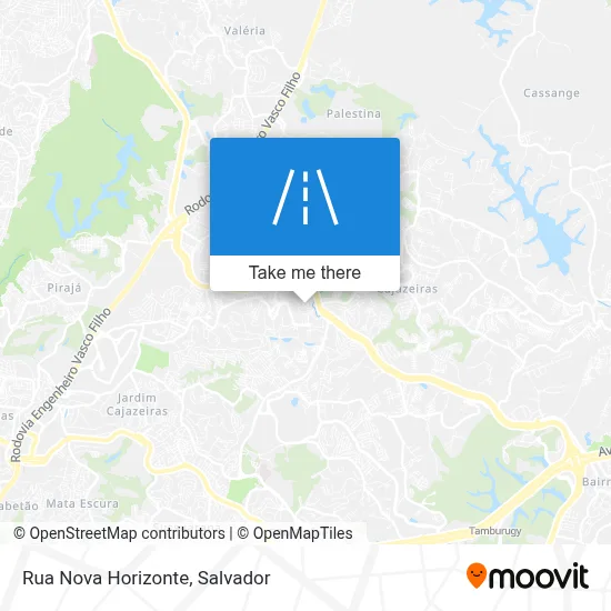 Rua Nova Horizonte map