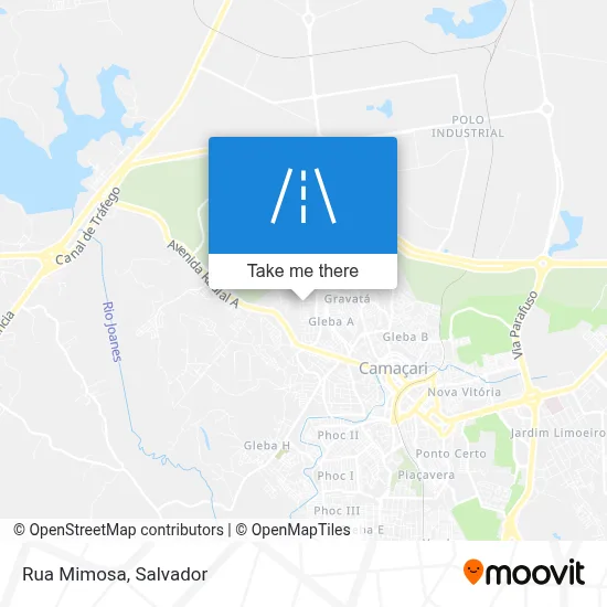Rua Mimosa map