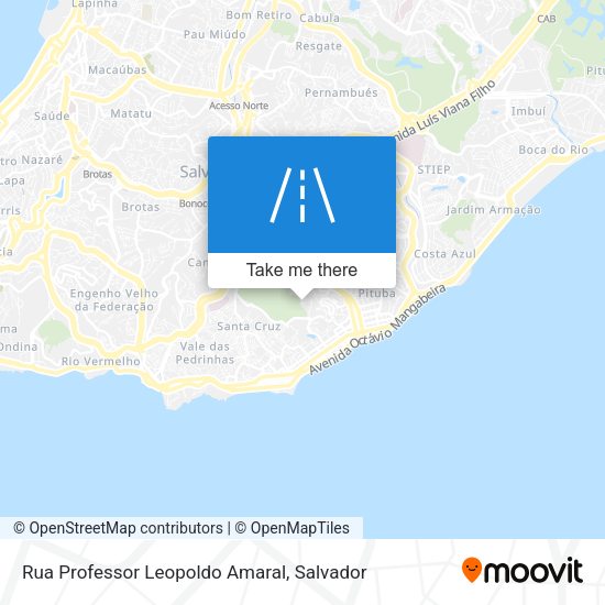 Rua Professor Leopoldo Amaral map
