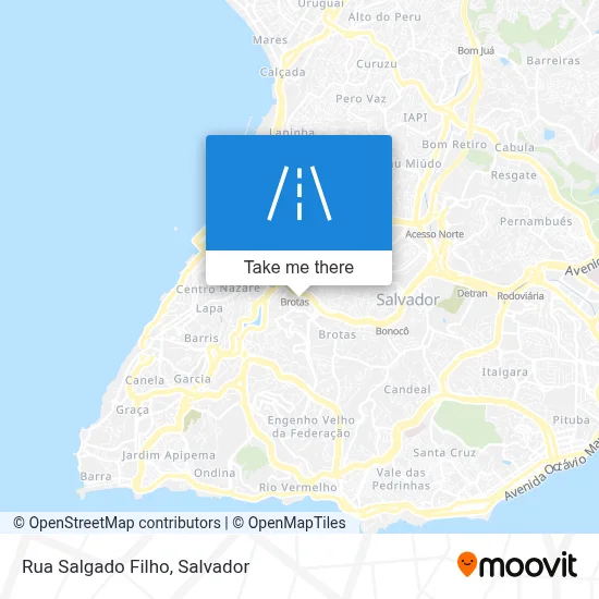 Rua Salgado Filho map