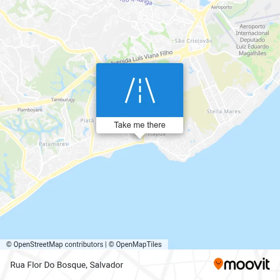 Rua Flor Do Bosque map