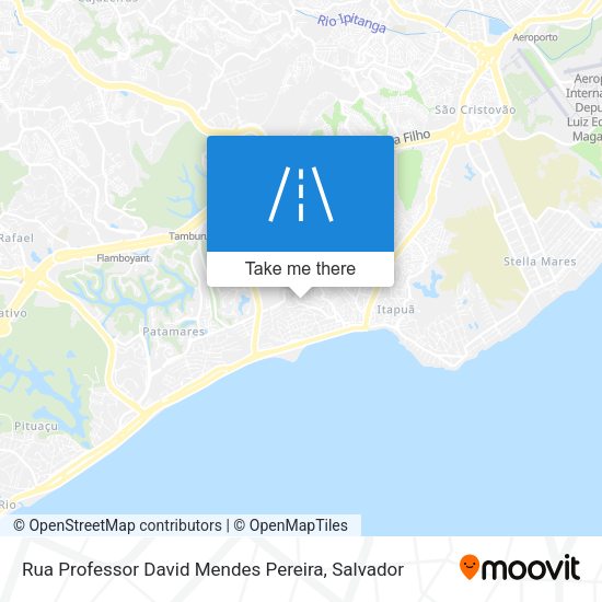 Rua Professor David Mendes Pereira map