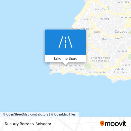 Rua Ary Barroso map