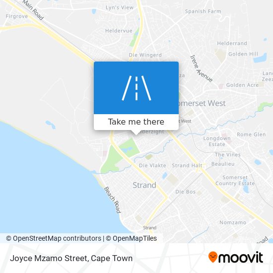 Joyce Mzamo Street map