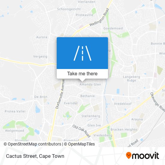 Cactus Street map
