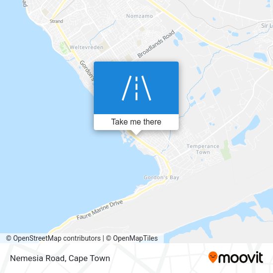 Nemesia Road map