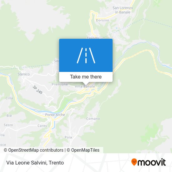 Via Leone Salvini map