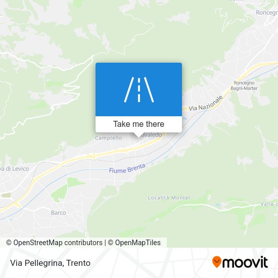 Via Pellegrina map