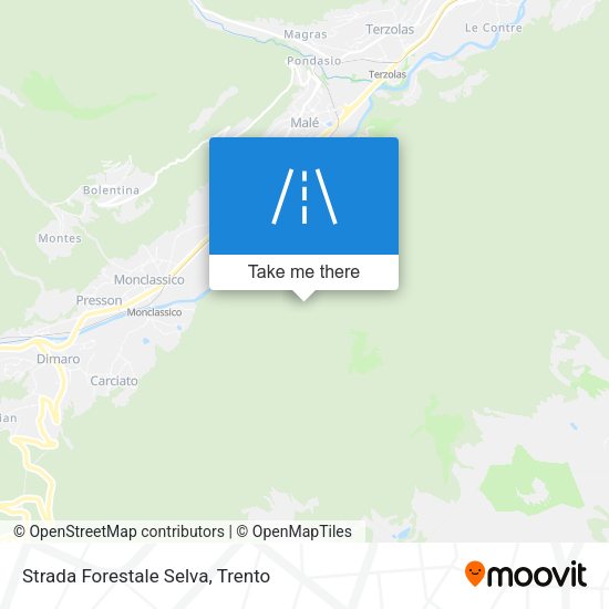 Strada Forestale Selva map