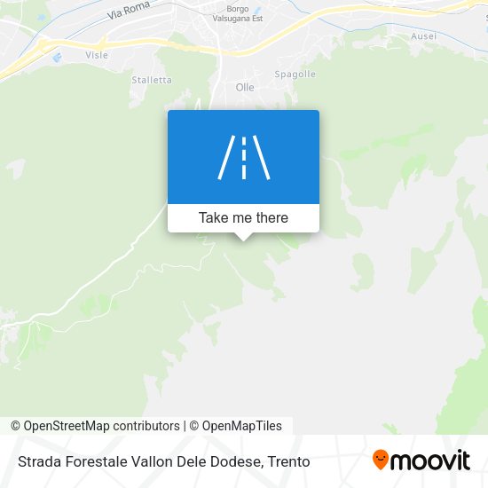 Strada Forestale Vallon Dele Dodese map