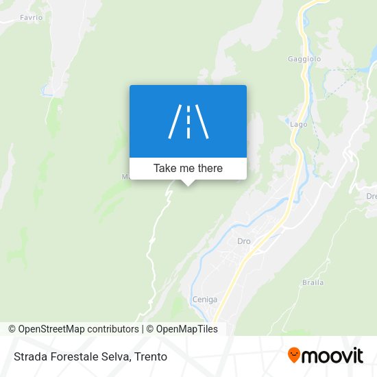 Strada Forestale Selva map