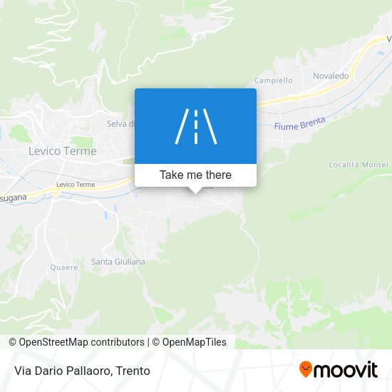 Via Dario Pallaoro map