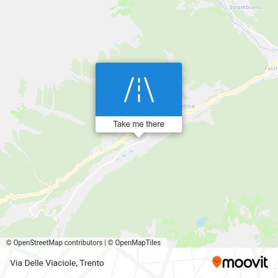 Via Delle Viaciole map
