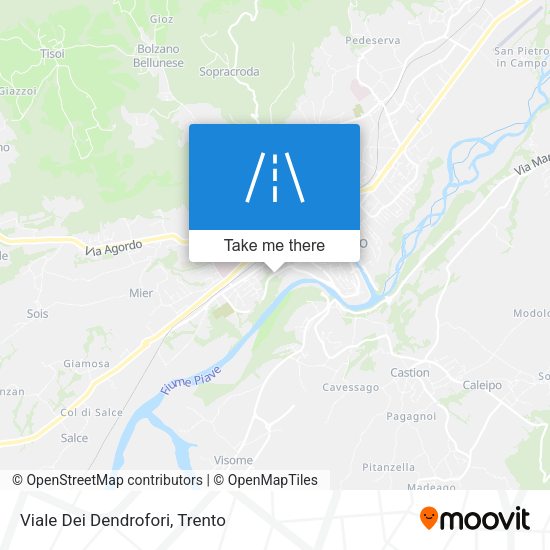 Viale Dei Dendrofori map