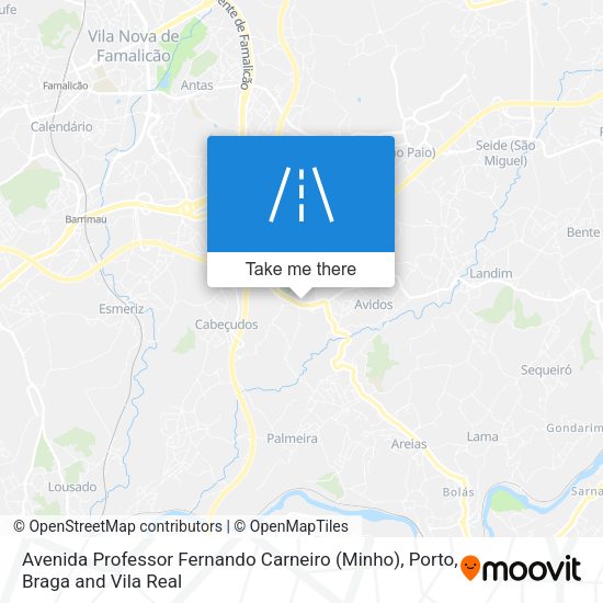 Avenida Professor Fernando Carneiro (Minho) map