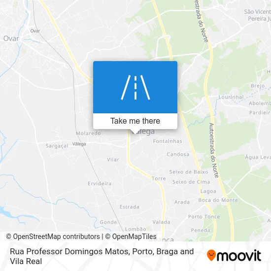 Rua Professor Domingos Matos map
