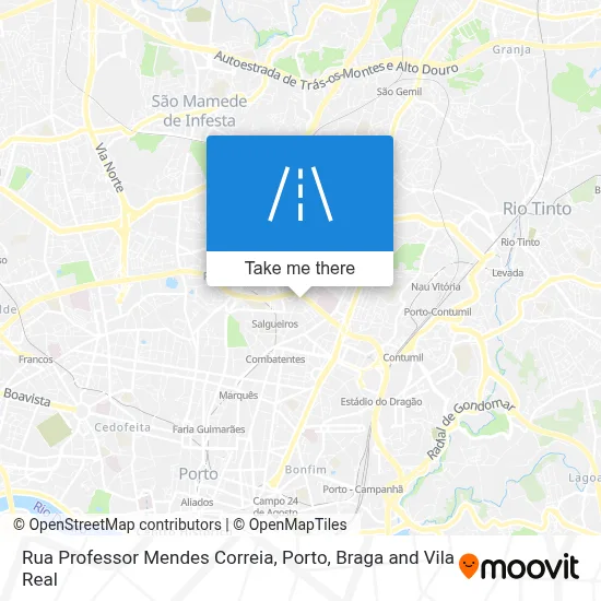 Rua Professor Mendes Correia map