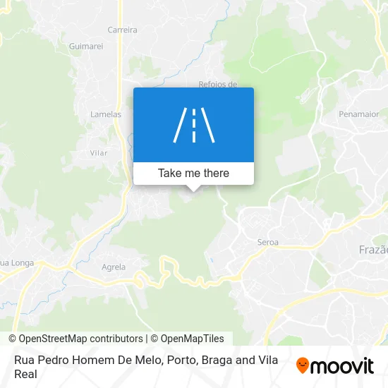 Rua Pedro Homem De Melo map