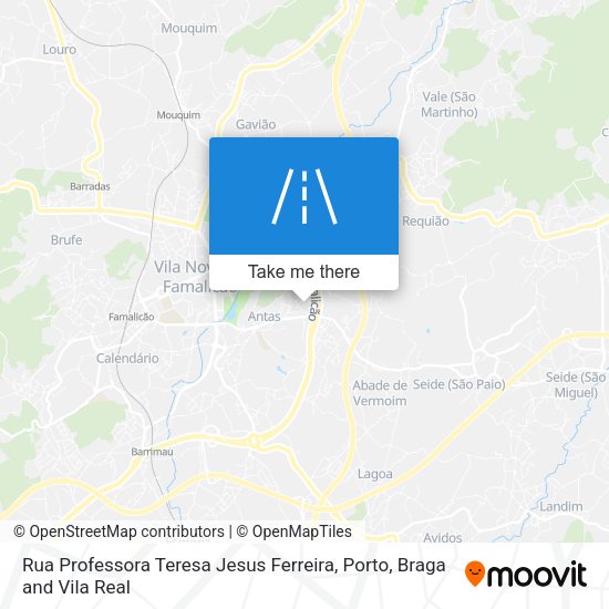 Rua Professora Teresa Jesus Ferreira mapa