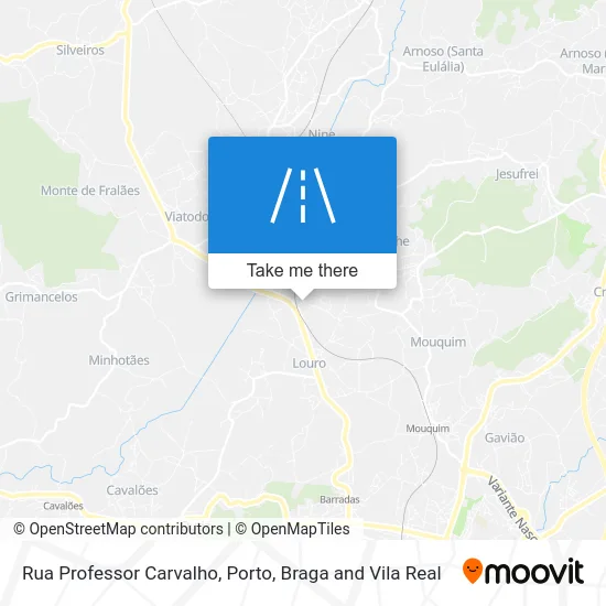 Rua Professor Carvalho map