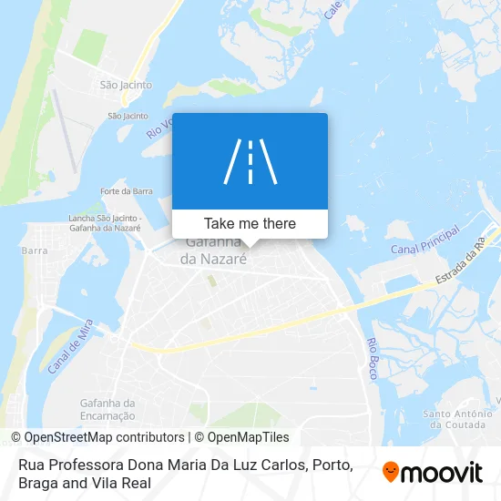 Rua Professora Dona Maria Da Luz Carlos map