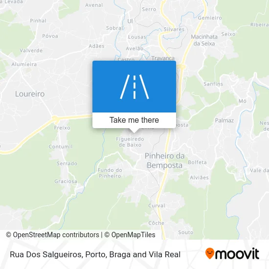 Rua Dos Salgueiros map