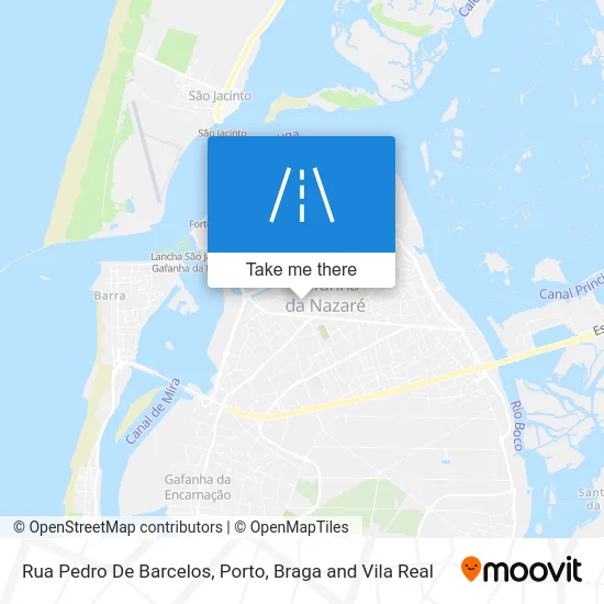 Rua Pedro De Barcelos map