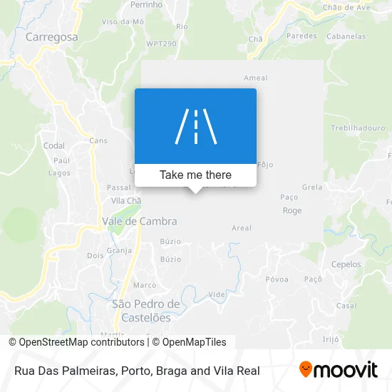 Rua Das Palmeiras map