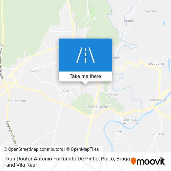 Rua Doutor António Fortunato De Pinho mapa