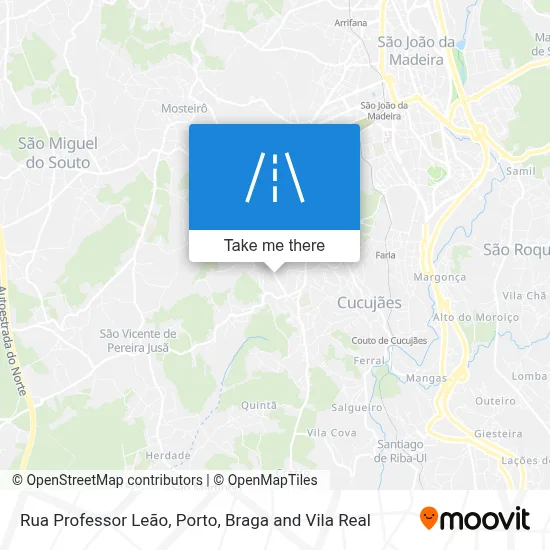 Rua Professor Leão map