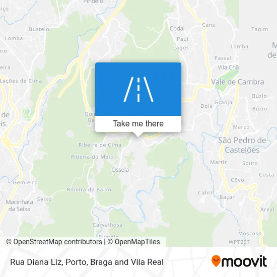 Rua Diana Liz map