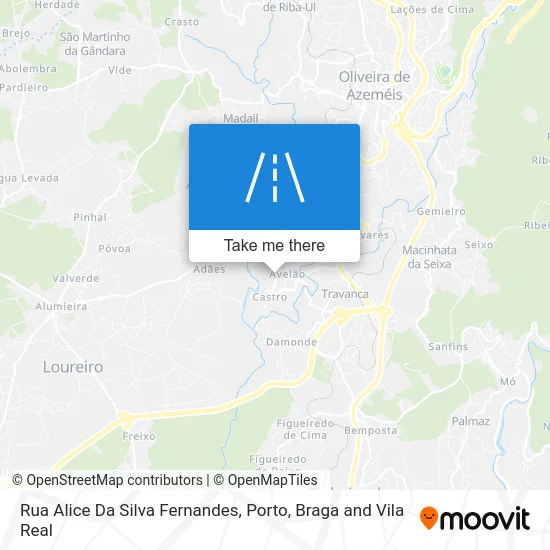 Rua Alice Da Silva Fernandes map
