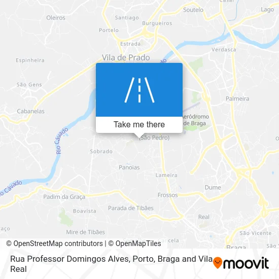 Rua Professor Domingos Alves map