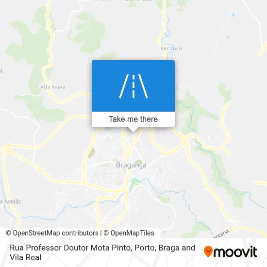 Rua Professor Doutor Mota Pinto map
