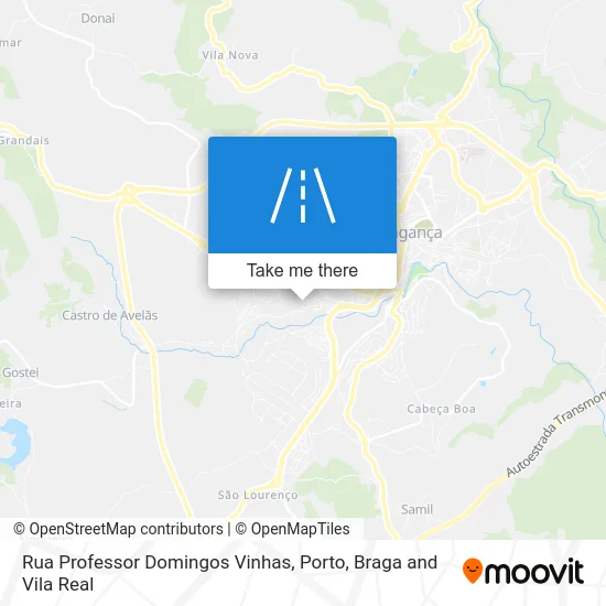 Rua Professor Domingos Vinhas map