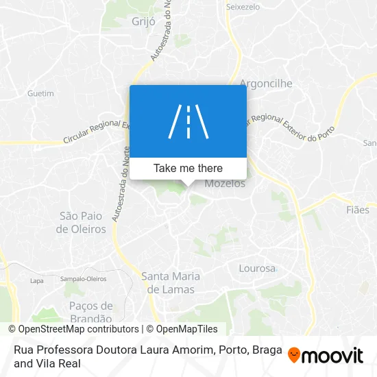 Rua Professora Doutora Laura Amorim map