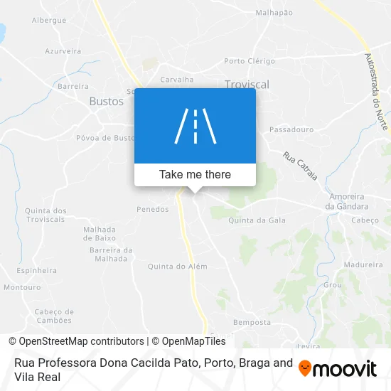 Rua Professora Dona Cacilda Pato map