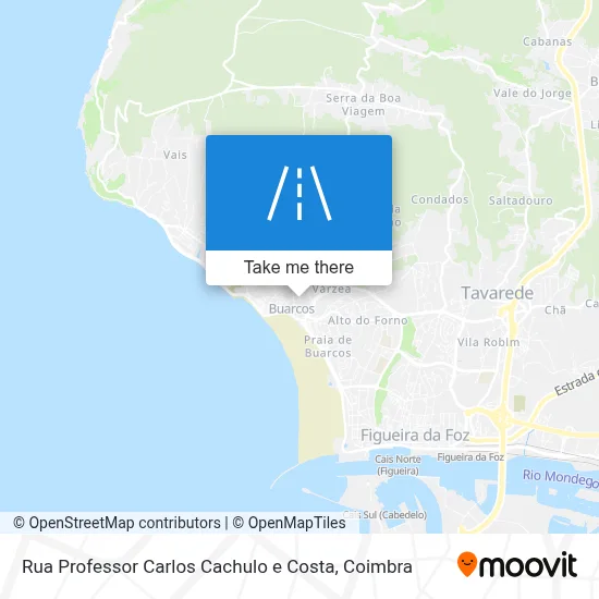 Rua Professor Carlos Cachulo e Costa map